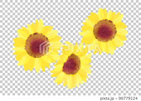 ひまわり(水彩風) ひまわり(水彩風) 90779124