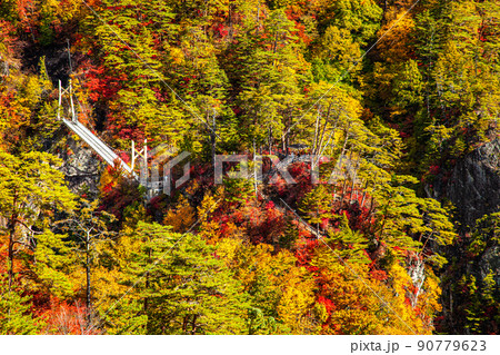 【栃木県・日光】紅葉の瀬戸合峡 渡らっしゃい吊橋 10月 晴 90779623