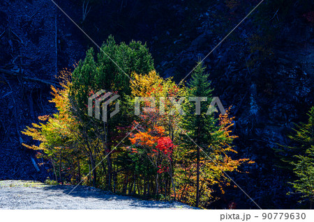【栃木県・日光】紅葉の瀬戸合峡 渡らっしゃい吊橋 10月 晴 【栃木県・日光】紅葉の瀬戸合峡 渡らっしゃい吊橋 10月 晴 90779630