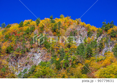 【栃木県・日光】紅葉の瀬戸合峡 渡らっしゃい吊橋 10月 晴 90779631