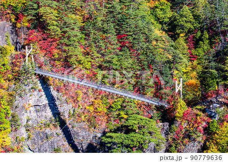 【栃木県・日光】紅葉の瀬戸合峡 渡らっしゃい吊橋 10月 晴 【栃木県・日光】紅葉の瀬戸合峡 渡らっしゃい吊橋 10月 晴 90779636