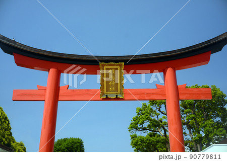 姫嶋神社の赤鳥居-1 90779811