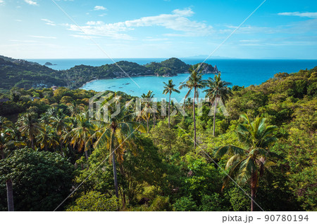 Coconut trees on the island and the sea on a summer morning from above. 90780194