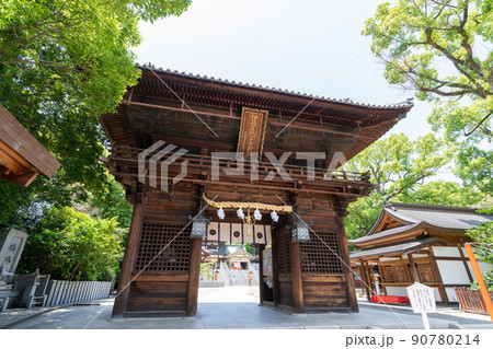 《愛媛県》伊豫豆比古命神社　(椿神社・お椿さん) 90780214