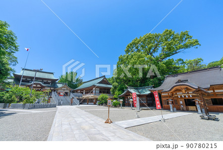 《愛媛県》伊豫豆比古命神社　(椿神社・お椿さん) 90780215