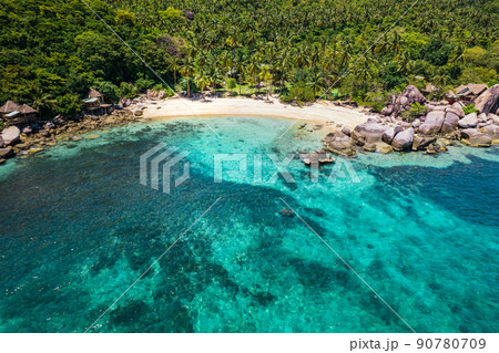 summer sea scenery,coconut trees and beach in summer from above 90780709