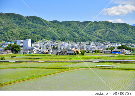 長野県上田市丸子地域の風景(長野県上田市)【2022.6】 90780758