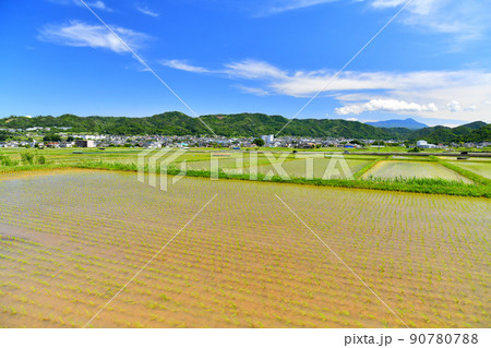 長野県上田市丸子地域の風景(長野県上田市)【2022.6】 長野県上田市丸子地域の風景(長野県上田市)【2022.6】 90780788