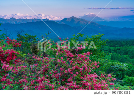 (山梨県)ツツジ咲く清里の美し森 富士山遠望 夕景 (山梨県)ツツジ咲く清里の美し森 富士山遠望 夕景 90780881