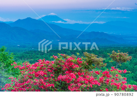 (山梨県)ツツジ咲く清里の美し森 富士山遠望 夕景 (山梨県)ツツジ咲く清里の美し森 富士山遠望 夕景 90780892