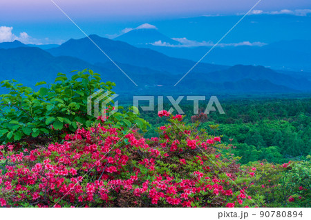 （山梨県）ツツジ咲く清里の美し森　富士山遠望　夕景 90780894