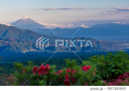 （山梨県）ツツジ咲く清里の美し森　富士山遠望　夕景 90780993