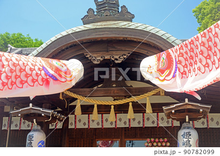 姫嶋神社と鯉幟-8 姫嶋神社と鯉幟-8 90782099