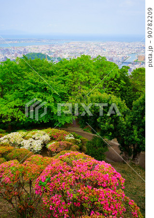 徳島県徳島市街並み 新緑とツツジの眉山公園から撮影 徳島県徳島市街並み 新緑とツツジの眉山公園から撮影 90782209