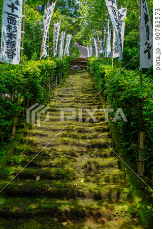 苔の階段（縦） 90782573