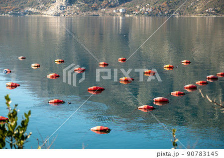 oyster farm. red buoys floats for oyster farm nets. Bay of Kotor oyster farm. red buoys floats for oyster farm nets. Bay of Kotor 90783145