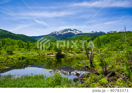初夏の乗鞍岳とオソメ池 初夏の乗鞍岳とオソメ池 90783371