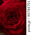 赤いバラの花のマクロ写真 90784701