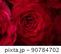 赤いバラの花のマクロ写真 90784702