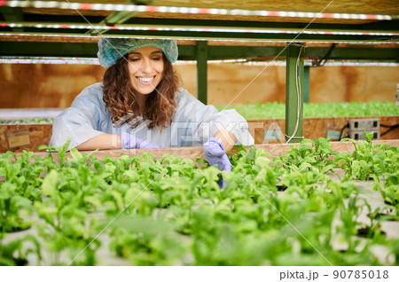 Joyful female gardener in disposable cap looking at green leafy plants and smiling while standing near shelf with seedlings. Young woman in garden gloves checking plant growth in greenhouse. 90785018