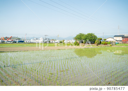 田植えの日本風景 田植えの日本風景 90785477