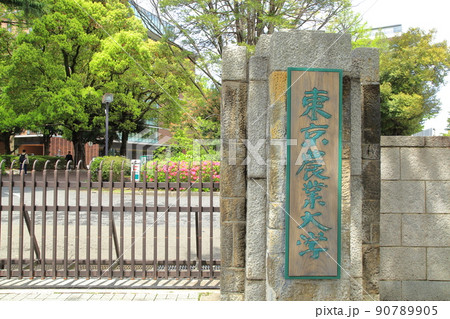 東京農業大学 世田谷区 東京農業大学 世田谷区 90789905