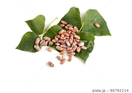 Beans and leaves 90792214