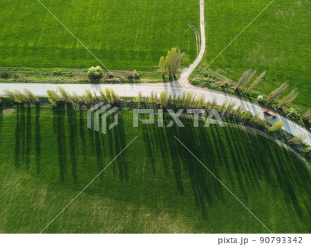 Aerial view on green wheat field in countryside. Field of wheat blowing in the wind on sunset. Young and green Spikelets. Ears of barley crop in nature. Agronomy, industry and food production. Aerial view on green wheat field in countryside. Field of wheat blowing in the wind on sunset. Young and green Spikelets. Ears of barley crop in nature. Agronomy, industry and food production. 90793342