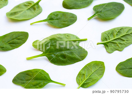 Spinach leaves. Extremely nutrient-rich vegetable 90795730