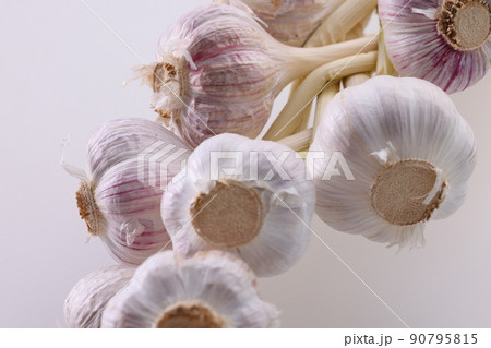新物のにんにくの束 新物のにんにくの束 90795815