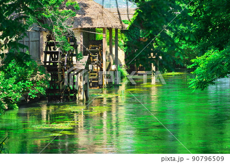 新緑あふれる大王わさび農場の万水川と水車小屋 新緑あふれる大王わさび農場の万水川と水車小屋 90796509