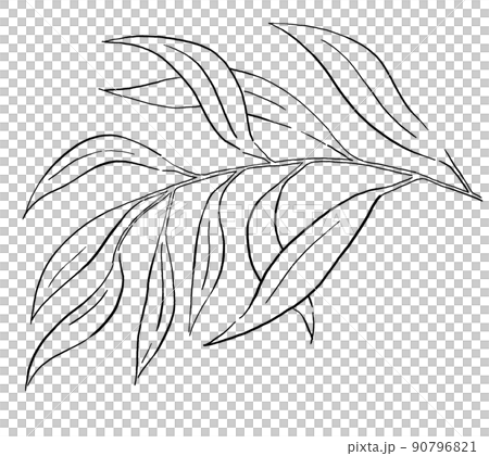 Black Outlines botanical leaves illustration isolated Black Outlines botanical leaves illustration isolated 90796821