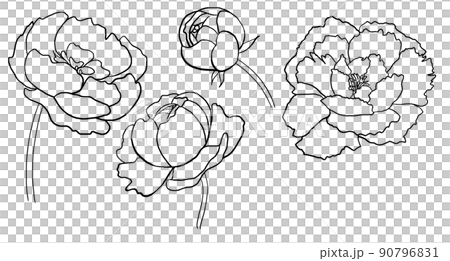 Watercolor black outline peony flowers illustration element 90796831