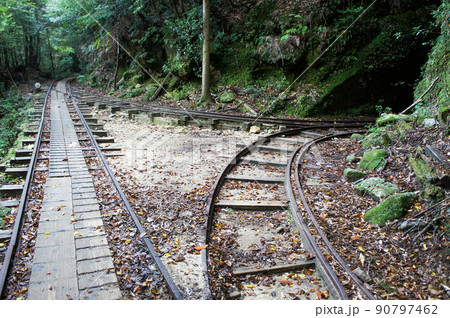 縄文杉へ続くトロッコ道 縄文杉へ続くトロッコ道 90797462