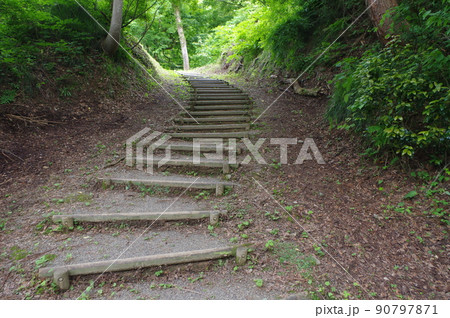 天空の遊歩道 90797871