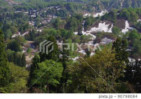 越後の春 越後の春 90798084