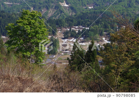 越後の春 90798085