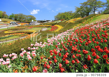 国営みちのく杜の湖畔公園2022 90798309