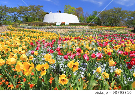国営みちのく杜の湖畔公園2022 国営みちのく杜の湖畔公園2022 90798310