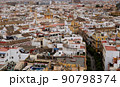 セビリア大聖堂からみたセビリアの街並み 90798374