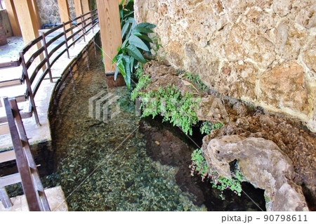 沖縄の湧水　金武大川（ウッカガー） 90798611