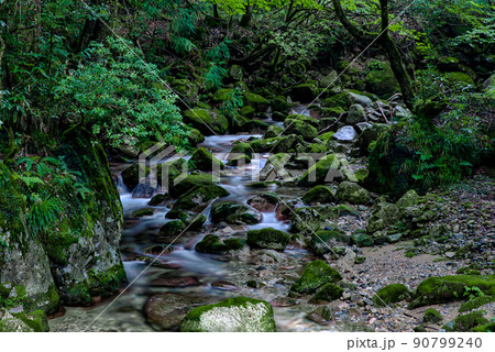 【山口県岩国市】西中国山地国定公園の三代渓谷、寂地峡 90799240