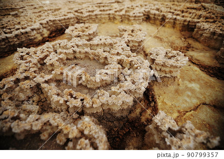 ダロール　絶景 90799357