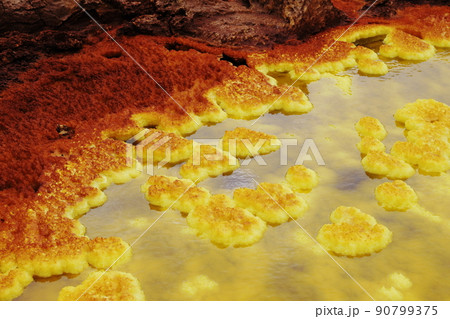 ダロール カラフル ダロール カラフル 90799375