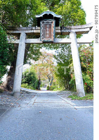 日吉神社 日吉神社 90799475