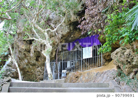 浜比嘉島　シルミチュー 90799691