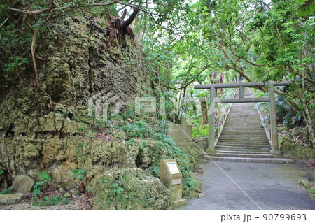 浜比嘉島　シルミチュー 90799693