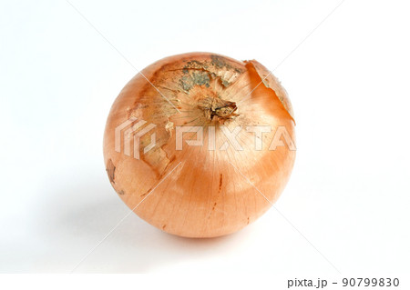 たまねぎ（サラたまちゃん） 90799830