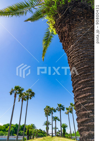 荒子川公園、フェニックスアイランド〈愛知県名古屋市〉 荒子川公園、フェニックスアイランド〈愛知県名古屋市〉 90800431