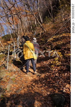 けさかけ橋 小中大滝 紅葉 けさかけ橋 小中大滝 紅葉 90800467